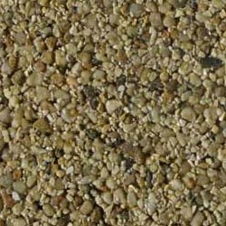 6mm Oyster