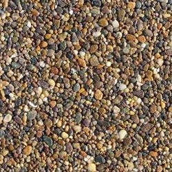 6mm Trent Pea