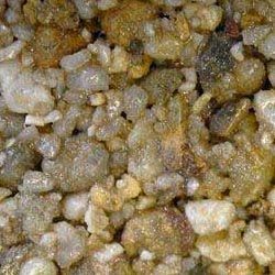 Rhine Gold