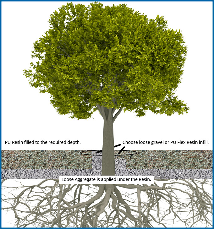 insighttree